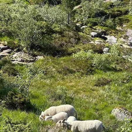 Family Near Alsheia Area In * Tonstad